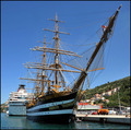 BROD AMERIGO V&hellip;