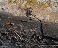 MAKRO MIKRO - &hellip;