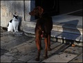 DAMA & SKI&hellip;