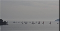 DIVOTE OD PONT&hellip;