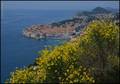 DUBROVNIKU NIŠ&hellip;