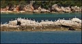 GALEB DO GALEB&hellip;