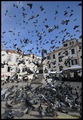 GUNDULIĆ U URU&hellip;