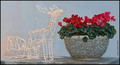 IKEBANA ADVENT&hellip;