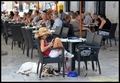 ČITAČICA U CEL&hellip;