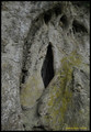 JANKOVAC - VAG&hellip;
