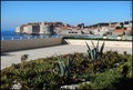 KAMEN I ZELENI&hellip;
