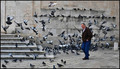 MENI DRAGA SLI&hellip;