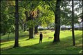 NAŠICE DANAS -&hellip;