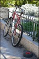 NISAM SIGURAN &hellip;