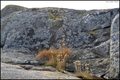 OTOK MAUSHOLME&hellip;
