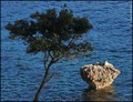 OVDJE SE LIJEP&hellip;