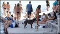 PASJA PLAŽA PR&hellip;
