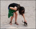 PIPA LUTAJUĆU &hellip;
