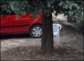 PRIZOR JUTROS &hellip;