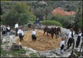 PRIČE IZ SALAČ&hellip;