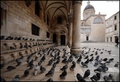 REFULE BURE NE&hellip;
