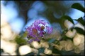 TEST OBJEKTIVA&hellip;