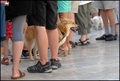 ŠTO DRUGO MOGU&hellip;