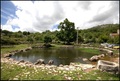 TRNOVICA - SEL&hellip;
