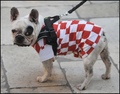 TUGA S JUGA BY&hellip;