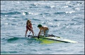 WINDSURFERIĆI &hellip;