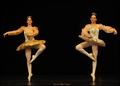 ZVRK HANUME - &hellip;