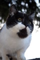 Neighbour'&hellip;