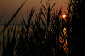 Tuscany Sunset&hellip;