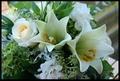 white flowers