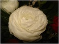 big white flow&hellip;