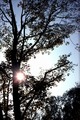 Slabašne sunče&hellip;