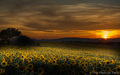Kad sunce kaže&hellip;
