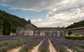 Abbaye Notre-D&hellip;