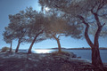 IR igrarija (u&hellip;