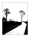 Pathway to dre&hellip;