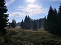 šumska rapsodi&hellip;