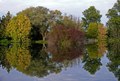 jesenje reflek&hellip;