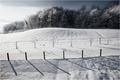 pogled s balko&hellip;