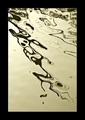 kao tempera (p&hellip;