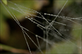 i opet...pauci&hellip;