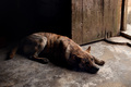 Waiting For Th&hellip;