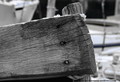 morski detalj &hellip;
