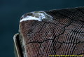 morski detalj &hellip;