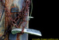morski detalj &hellip;