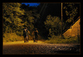 Follow the lig&hellip;