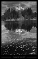 B&W Trakoš&hellip;