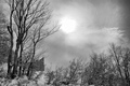 srušeno skloni&hellip;