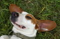 Odmaram, pusti&hellip;