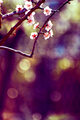 sunday lovely &hellip;